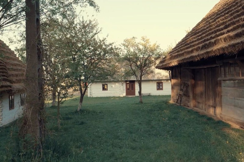 Trawiasty dziedziniec otoczony tradycyjnymi, drewnianymi chatami krytymi strzechą i drzewami, przez które prześwituje światło słoneczne, tworząc spokojną, wiejską scenerię.