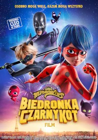 Plakat do filmu animowanego Biedronka i Czarny Kot przedstawia Biedronkę i Czarnego Kota w pozach superbohaterów, z dwoma zamaskowanymi złoczyńcami w tle. Poniżej widać Wieżę Eiffla i nocne niebo.