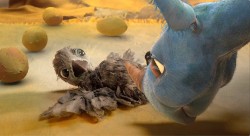 Mały, kudłaty pisklę leży na grzbiecie z otwartym dziobem, podczas gdy duży niebieski ptak delikatnie pochyla się w jego stronę. W tle rozrzuconych jest kilka okrągłych żółtych obiektów.