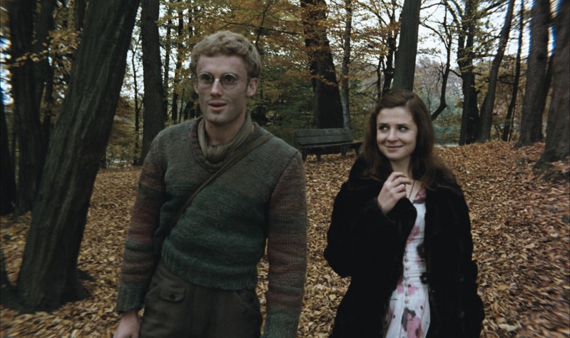 Mężczyzna w okularach i swetrze idzie obok uśmiechniętej kobiety w czarnym płaszczu przez park pełen opadłych jesiennych liści i wysokich drzew.