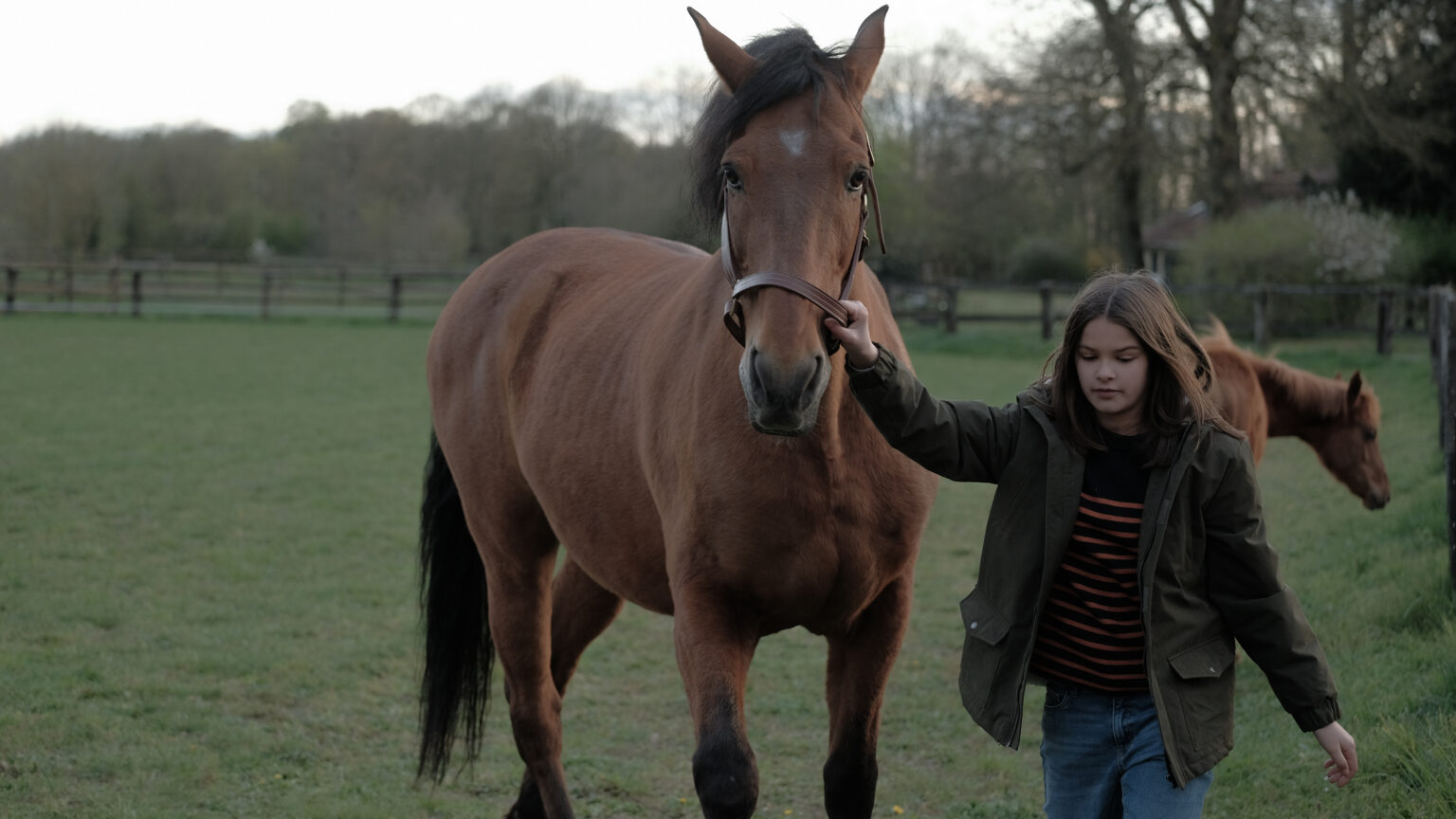 Młoda osoba w kurtce idzie obok brązowego konia na trawiastym polu, delikatnie trzymając go za uzdę. W tle widać drzewa i ogrodzenie, a w pobliżu pasie się inny koń.