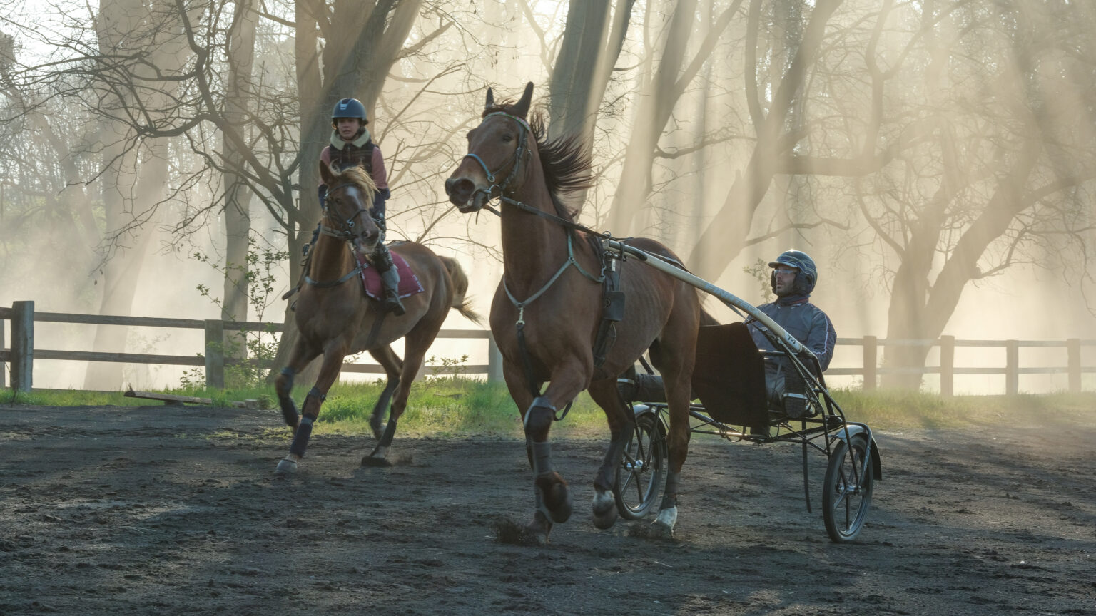 Osoba jedzie konno, podczas gdy inna osoba prowadzi konny wóz typu sulky w mglistym, zalesionym terenie, przez drzewa przebijają się promienie słoneczne.