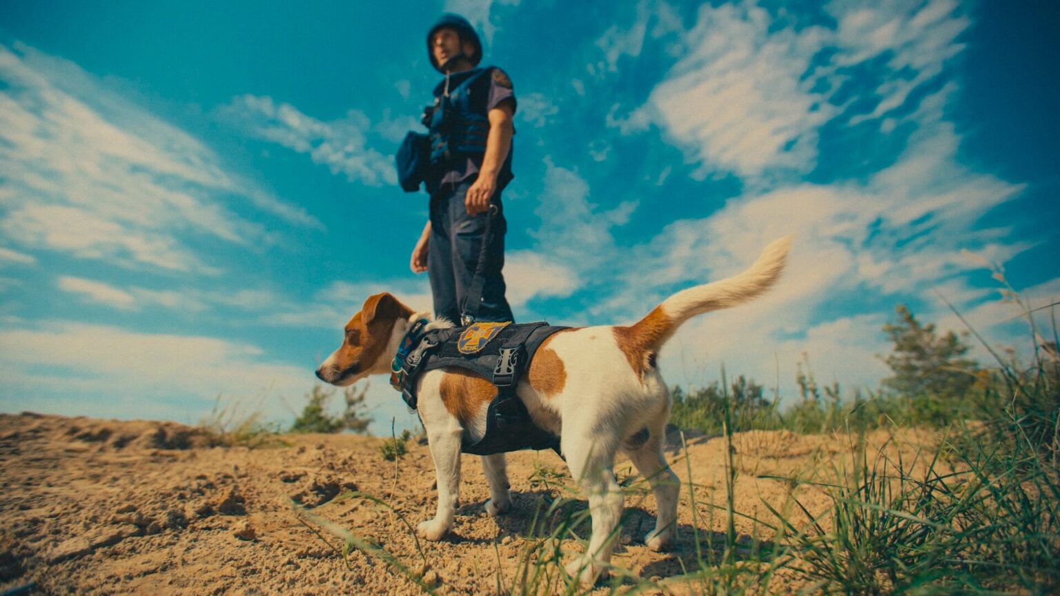 Mały pies w kamizelce stoi na piaszczystym podłożu, a za nim, pod błękitnym niebem z rozproszonymi chmurami, stoi osoba w stroju ochronnym i kasku. Na pierwszym planie i w tle widać trawę i krzewy.