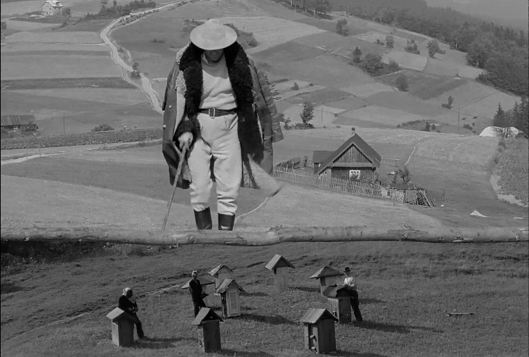 Surrealistyczna, czarno-biała scena przedstawia olbrzymiego mężczyznę w płaszczu, kapeluszu i butach, górującego nad zboczem wzgórza, w otoczeniu czterech mniejszych osób zajmujących się ulami rozrzuconymi na trawiastym krajobrazie poniżej.