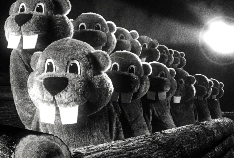 Rząd ludzi w dużych, uśmiechniętych kostiumach bobra stoi na stosie kłód, zwrócony twarzą do kamery. Scena jest czarno-biała z jasnym źródłem światła świecącym w tle.