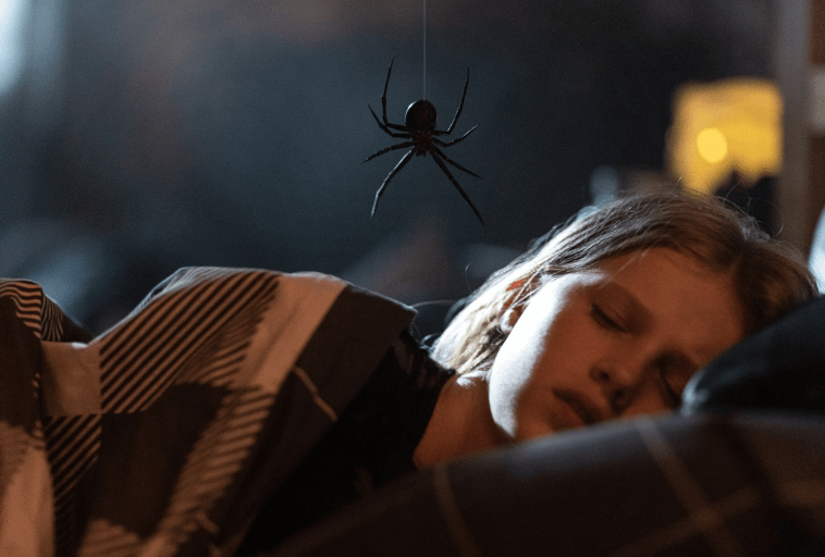 Dziecko śpi w łóżku pod kratkowanym kocem, podczas gdy duży pająk wisi nad jego twarzą na suficie. Scena jest słabo oświetlona, co sugeruje noc.