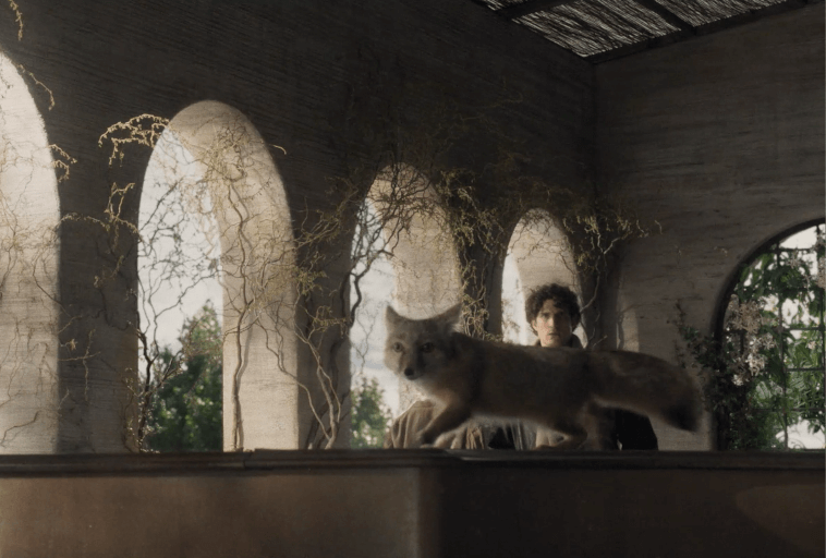 Jasnobrązowy lis przechadza się po gzymsie przed łukowatymi oknami, w tle stoi człowiek, a po ścianach pną się winorośle.